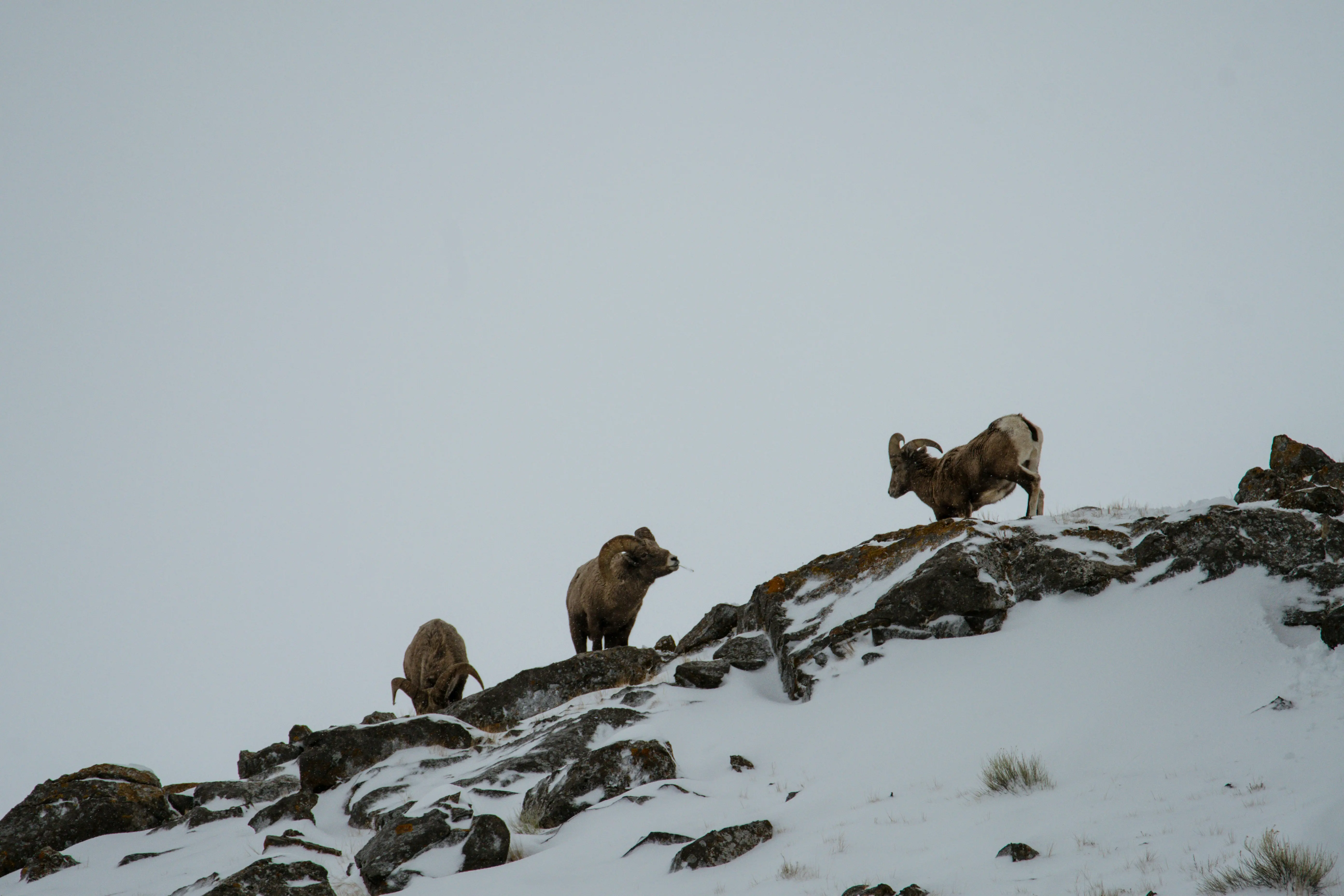 Ladakh Moonland Tour