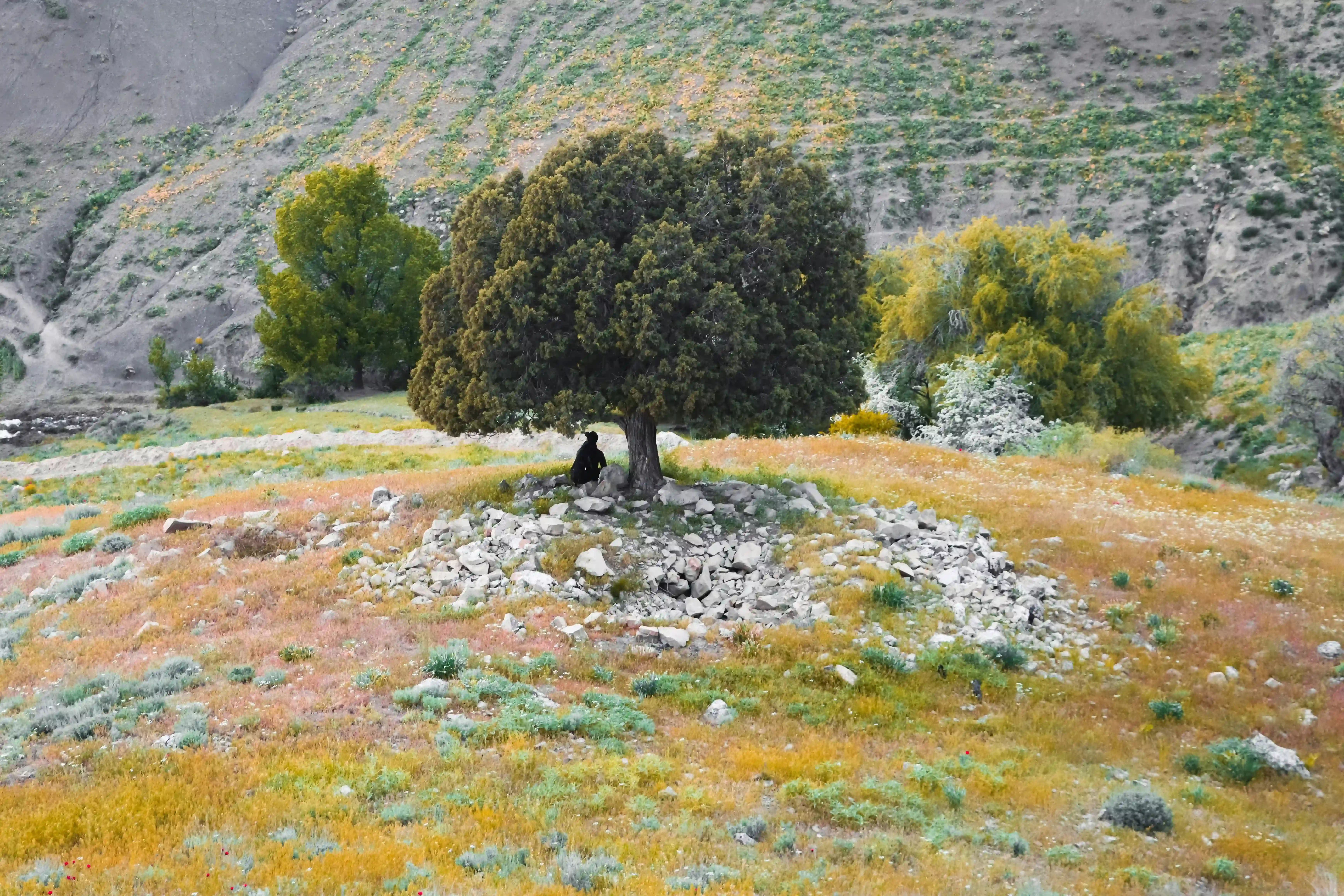 Sangla Kalpa Kaza Kashmir Ladakh Tour
